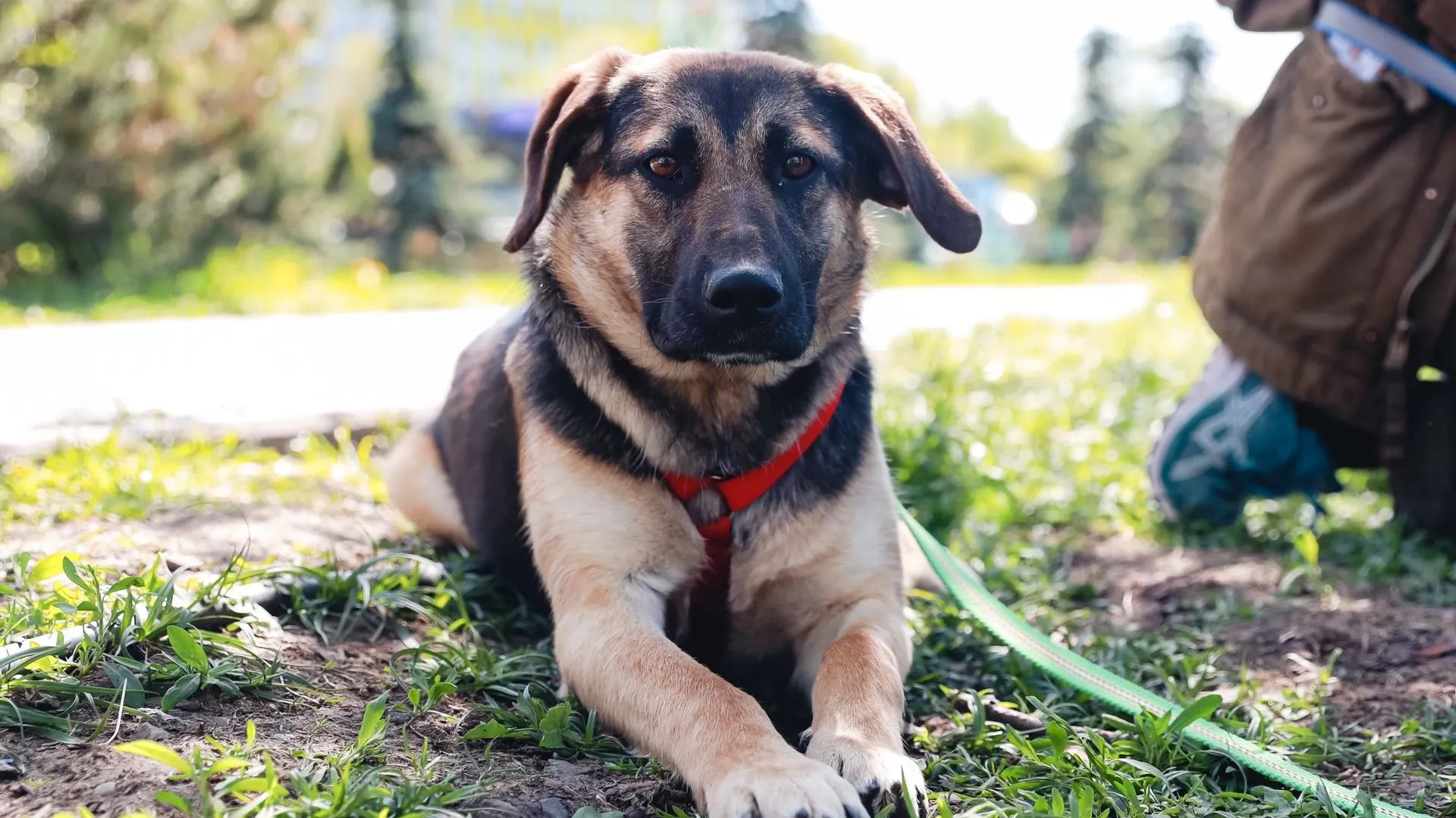 Фото: Министерство сельского хозяйства и продовольствия