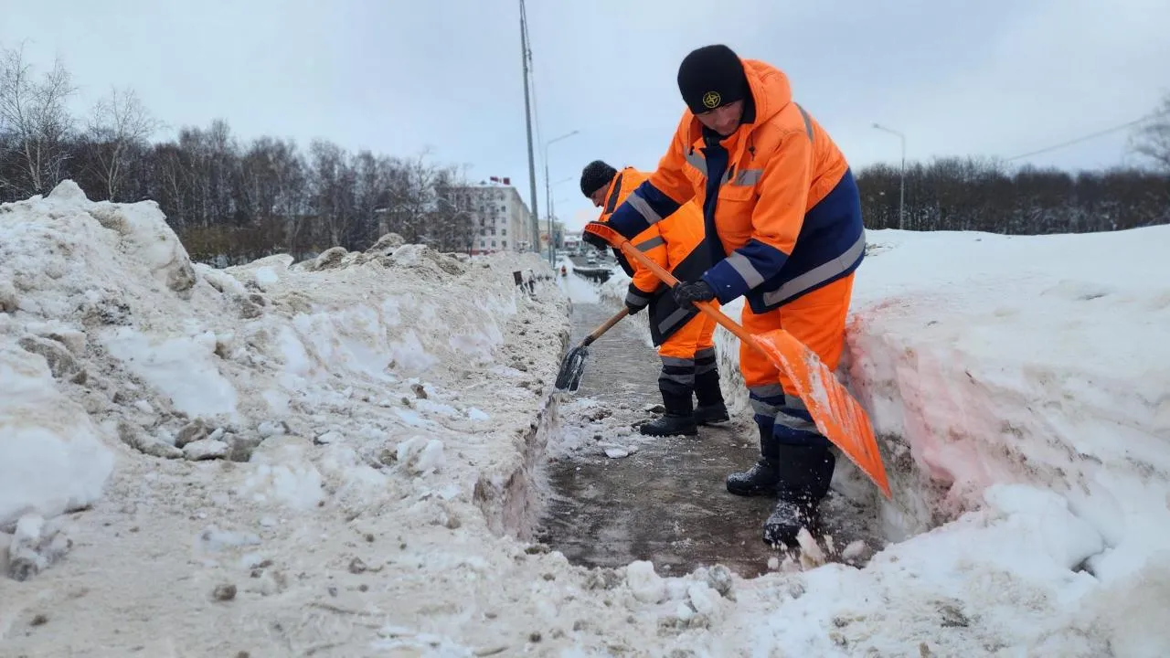 МедиаБанк Подмосковья/Валентина Максимова