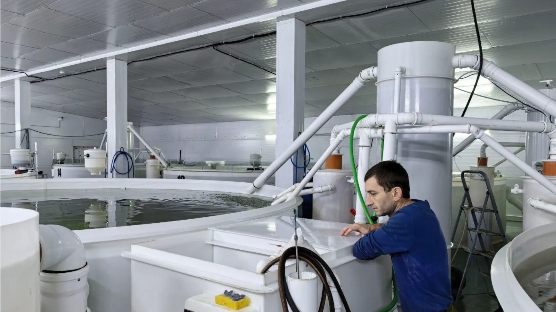 Фото: REGIONS/Ирина Матвеева