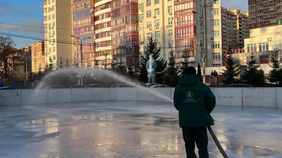 Фото: пресс-служба администрации г.о. Ленинский