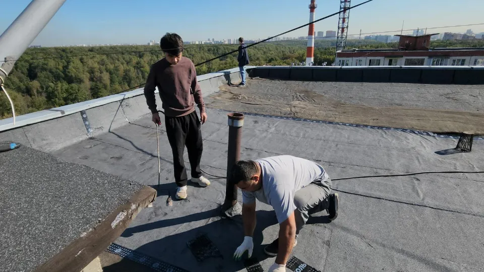 Фото: REGIONS/Артем Мишуков