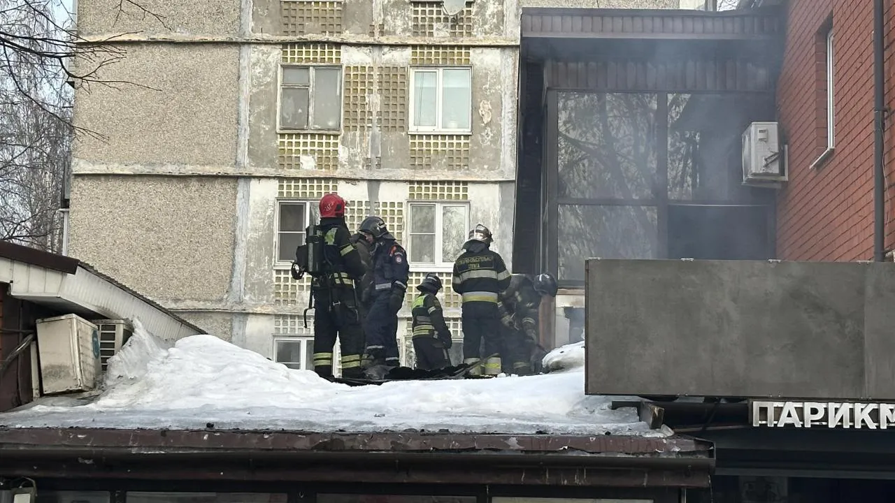 REGIONS/Мария Шигорева