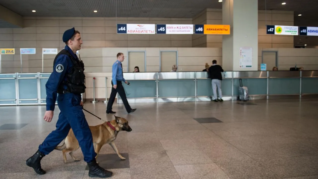 В аэропорту Домодедово пресекли попытку проникновения на охраняемую территорию