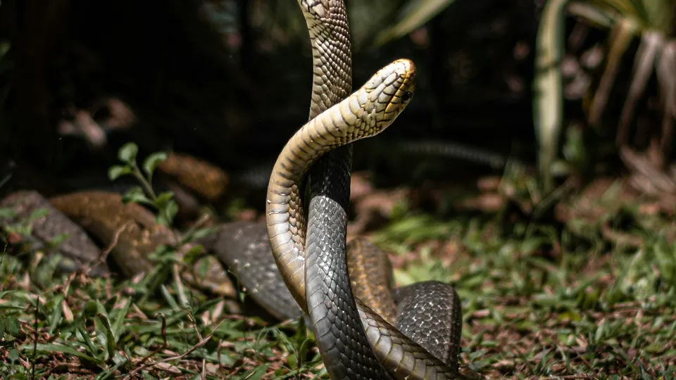 Фото: unsplash.com