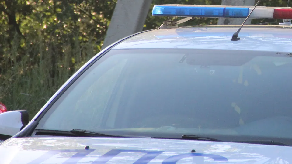 Фото: REGIONS/Василий Тремасов