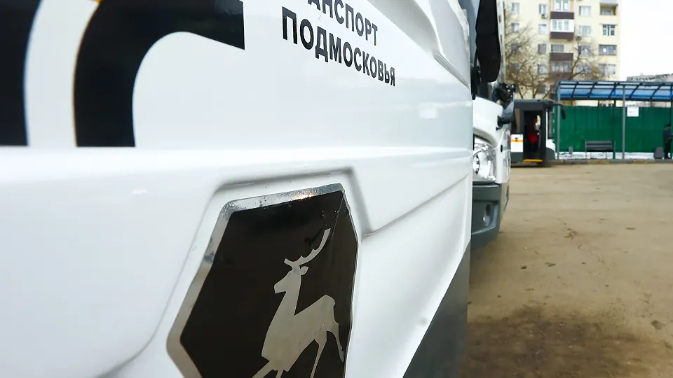 Фото: медиасток.рф