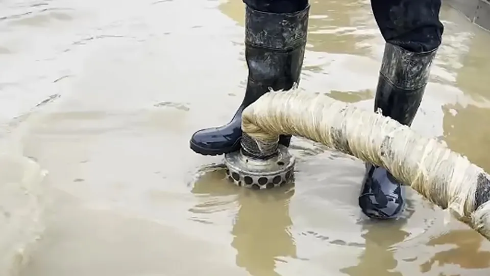 Фото: МедиаБанк Подмосковья/Екатерина Кирдина