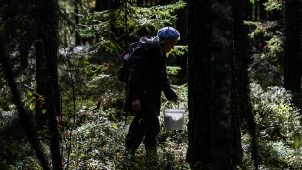 Фото: РИА Новости/Константин Чалабов