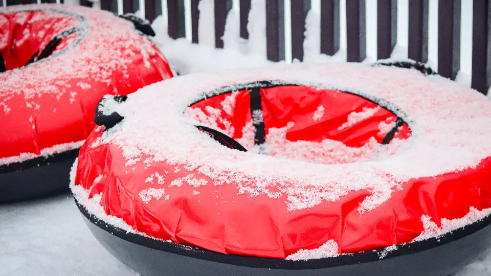 Фото: МедиаБанк Подмосковья/Данила Кирьянов