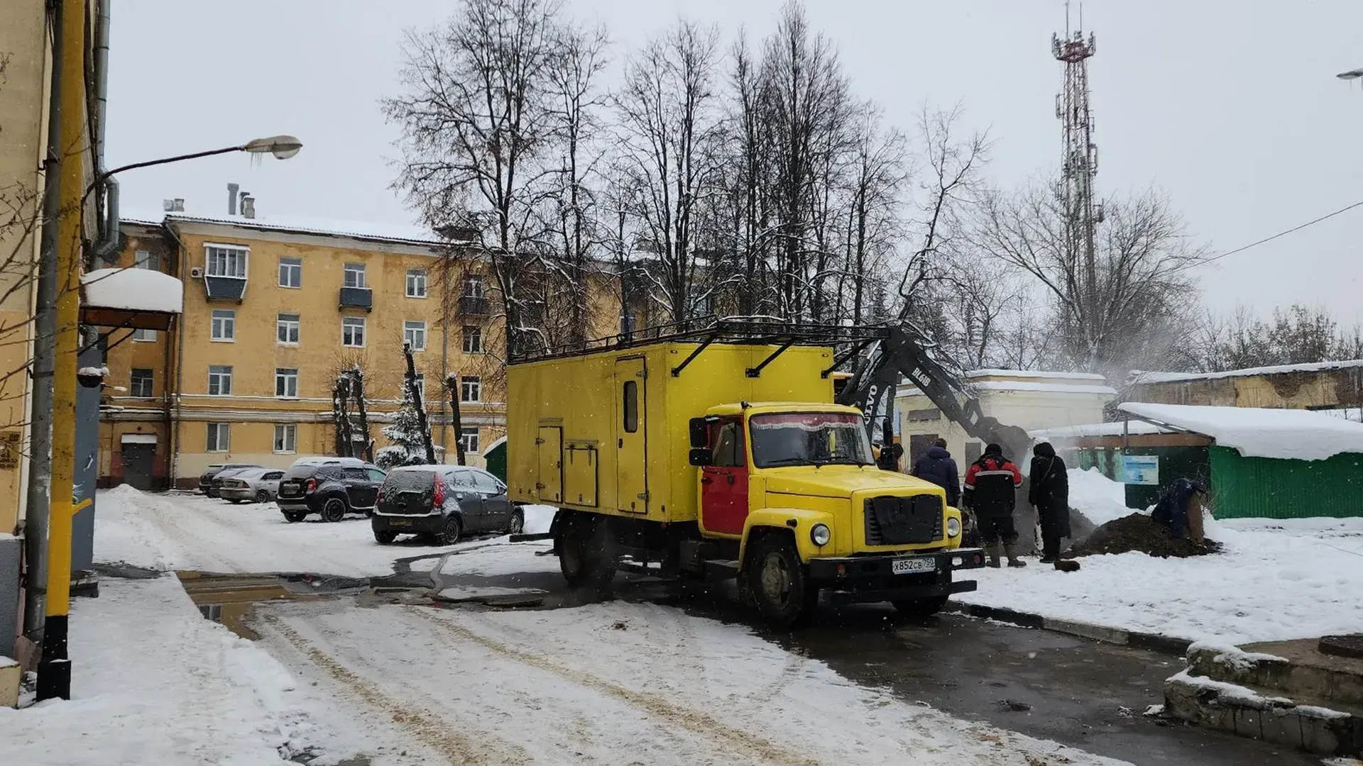 Нина Басистая