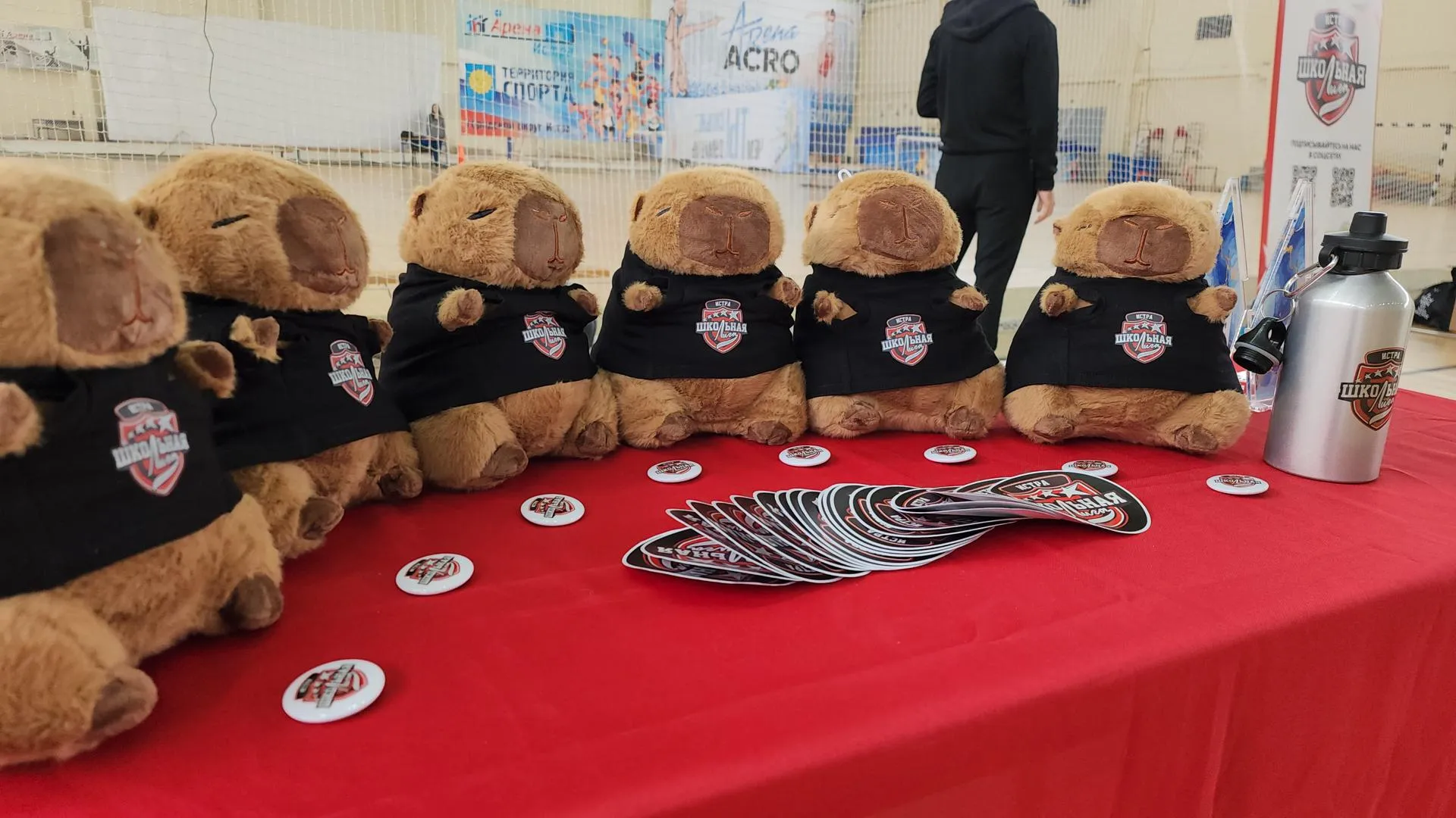 МедиаБанк Подмосковья/Андрей Алекин