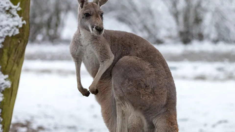 Фото: istockphoto.com