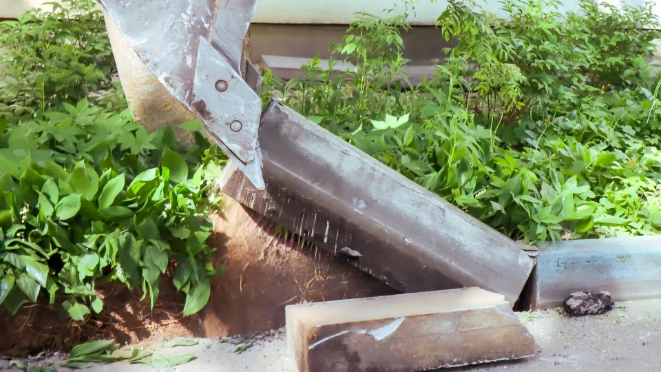 Фото: МедиаБанк Подмосковья/Данила Кирьянов