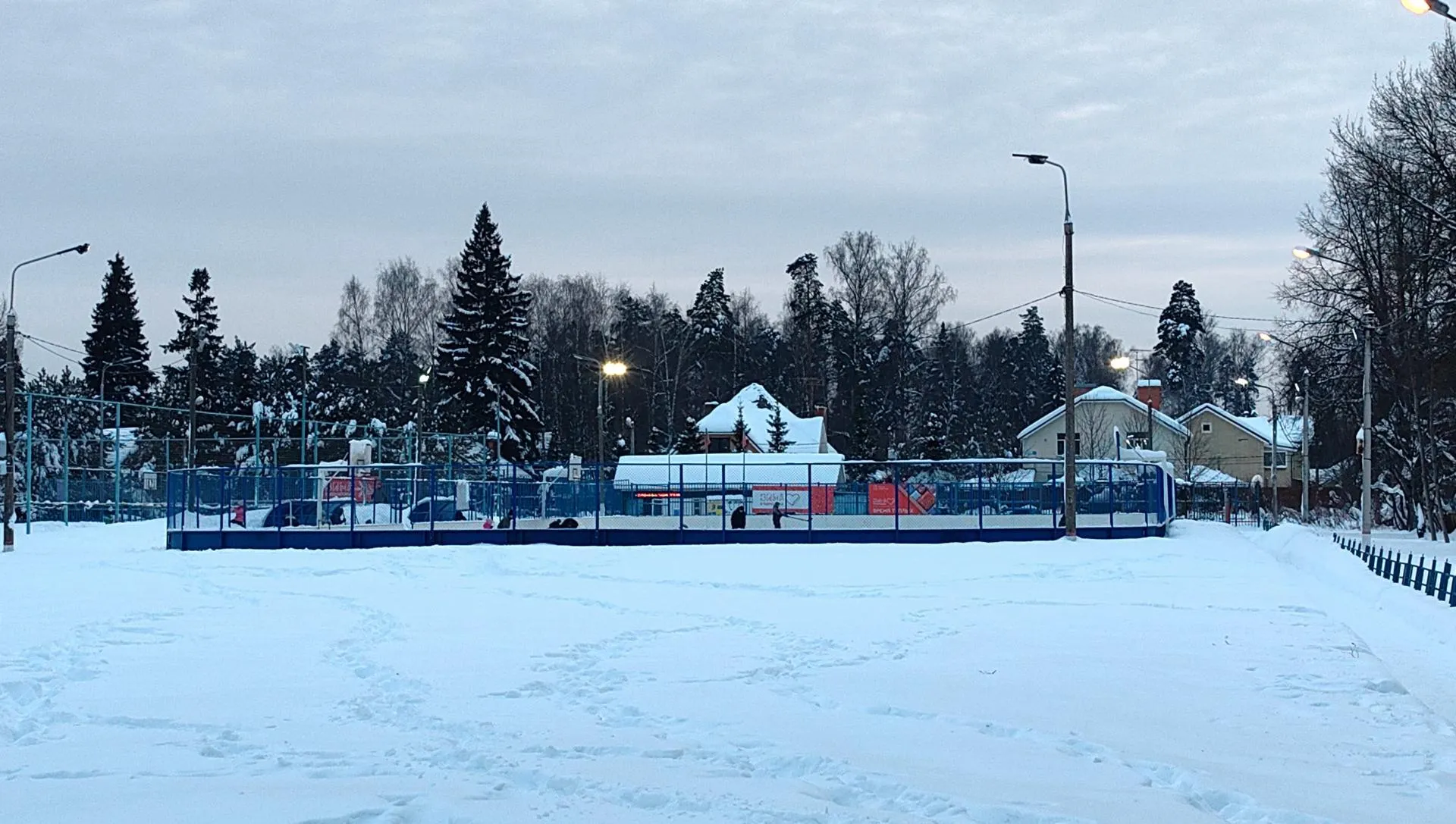 Елена Катасонова