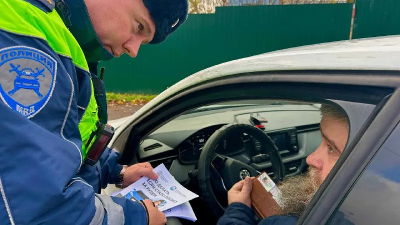 Фото: t.me/gibdd50mo