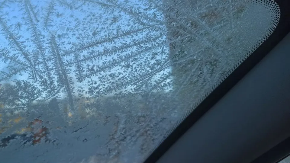 Фото: REGIONS/Эльвира Сафина