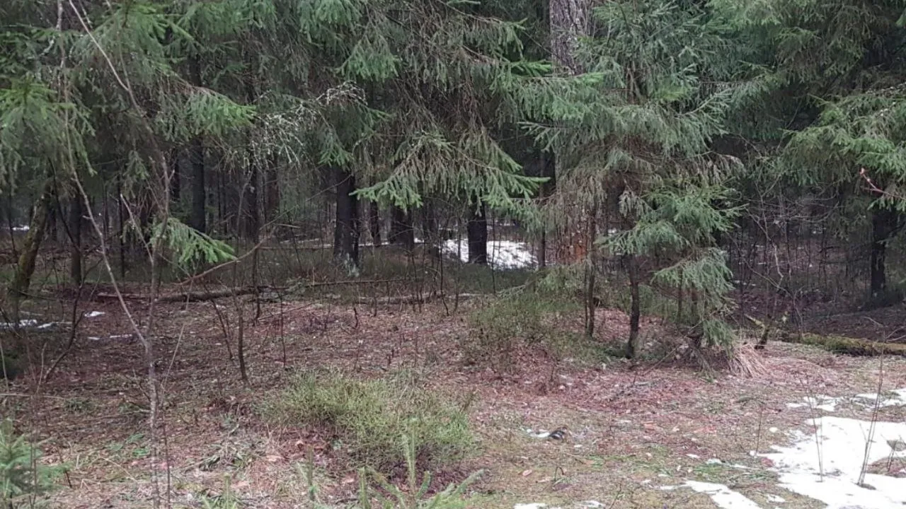 Фото: предоставлено Алексеем Ефремовым