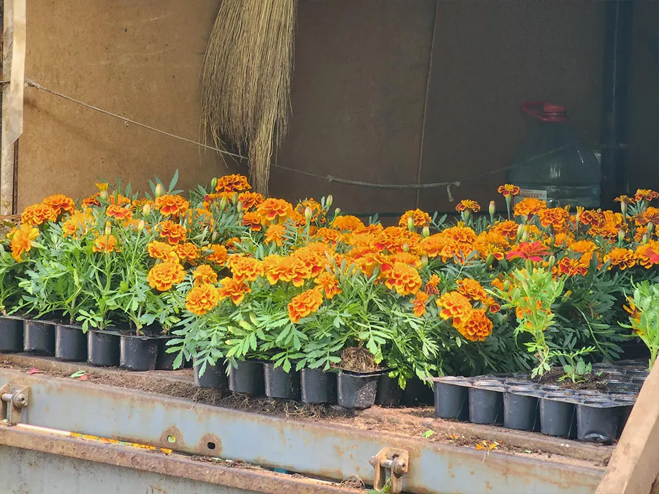 Фото: Роман Савельев