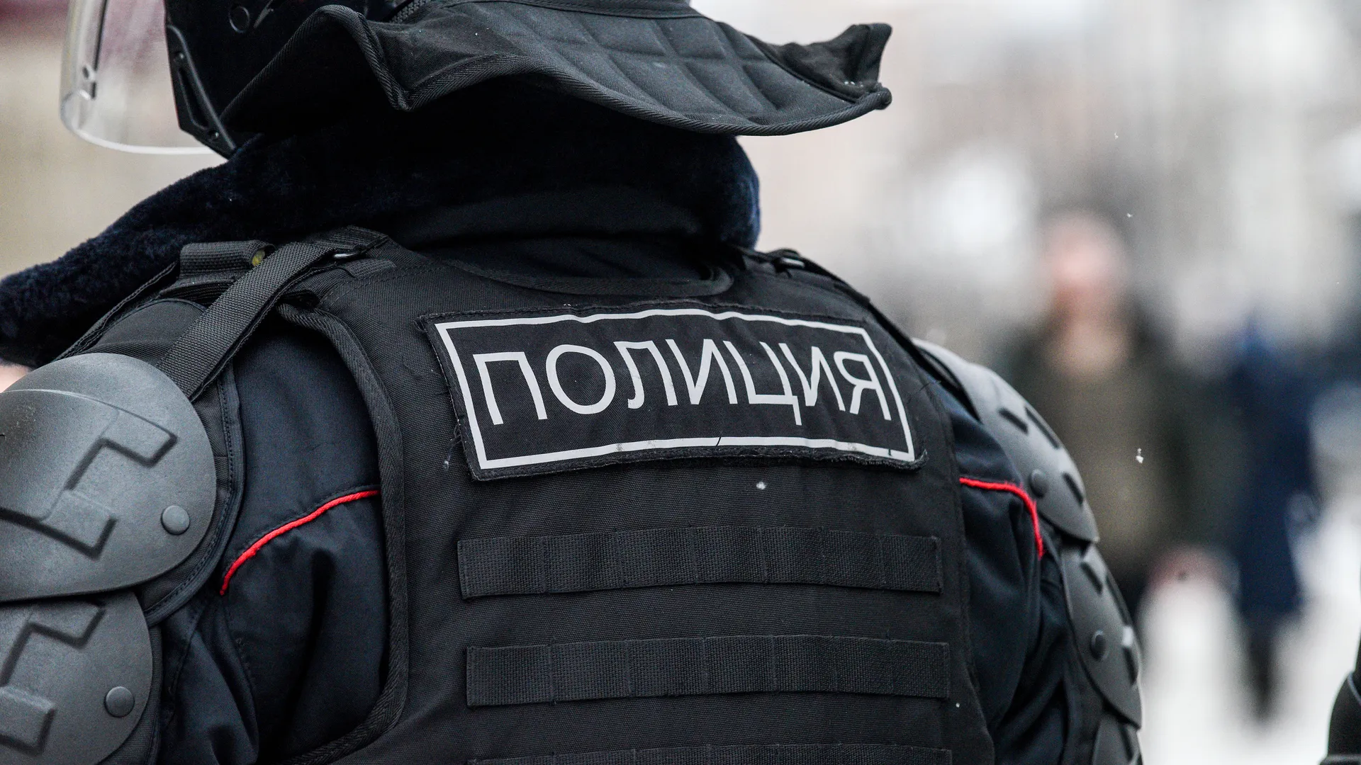 Фото: Медиаархив Подмосковья