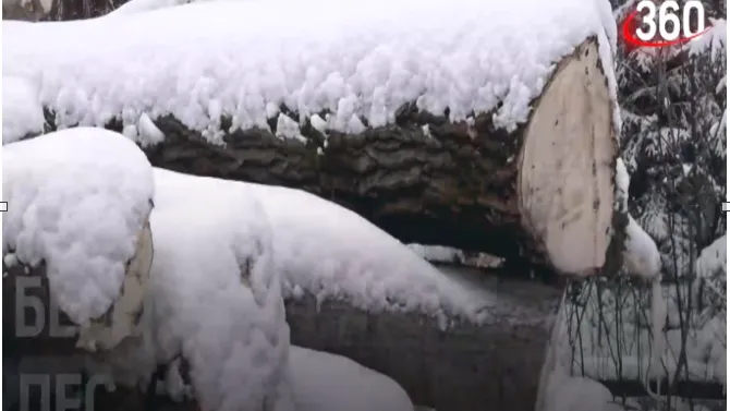 Съемка телеканала «360»