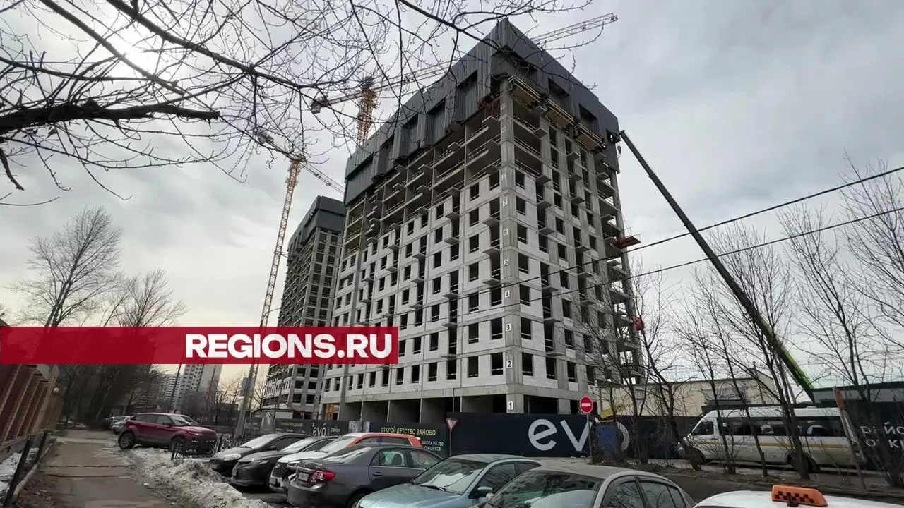 Фото: REGIONS/Ксения Казакова