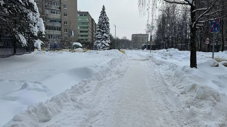 Фото: МедиаБанк Подмосковья/Эдуард Стратонов