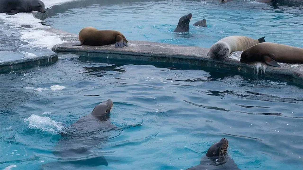 REGIONS/Сгенерировано нейросетью