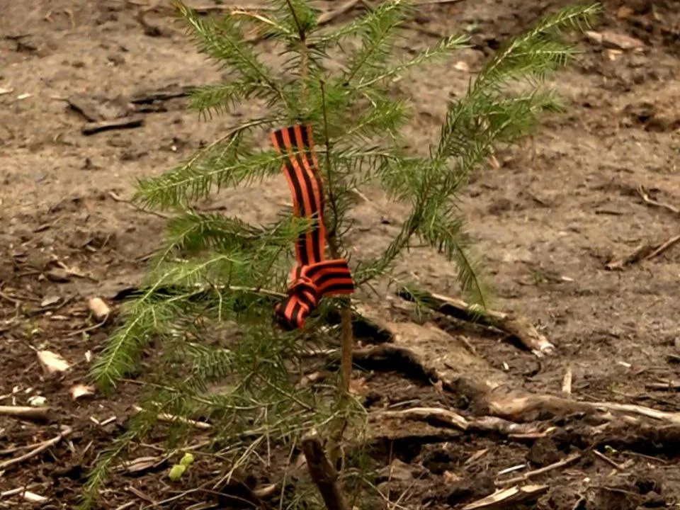 Фото: телеканал «Дубна»&nbsp; &nbsp; &nbsp; &nbsp;&nbsp;