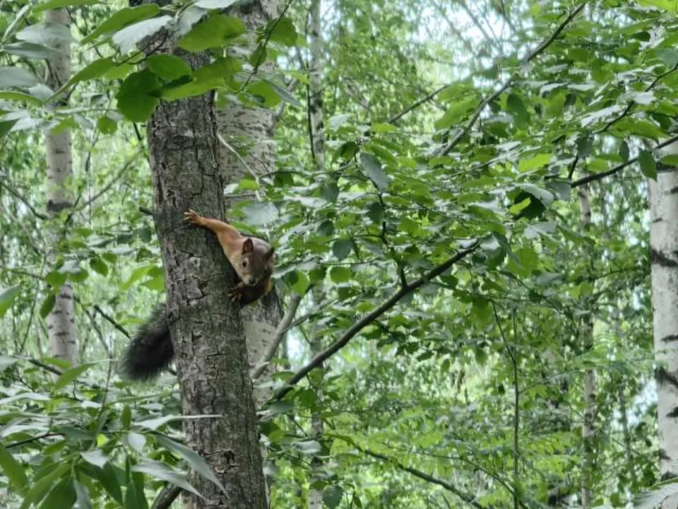 Фото: REGIONS/Евгения Гавриленко