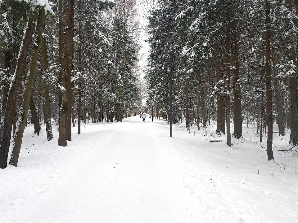 Фото: REGIONS/Олег Книжник