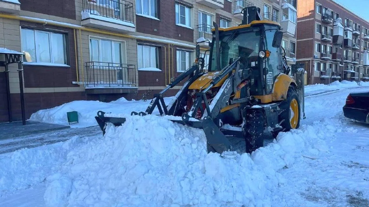 t.me/artsuvorov_live