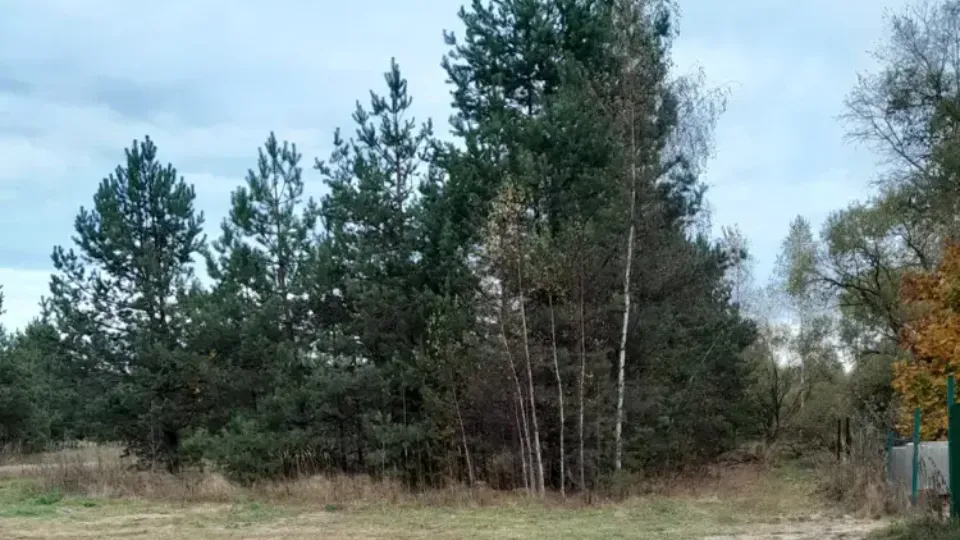 Фото: Единый портал торгов МО ЕАСУЗ