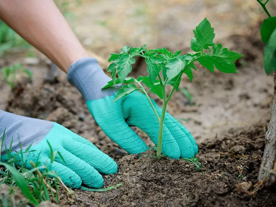 Фото: istockphoto.com