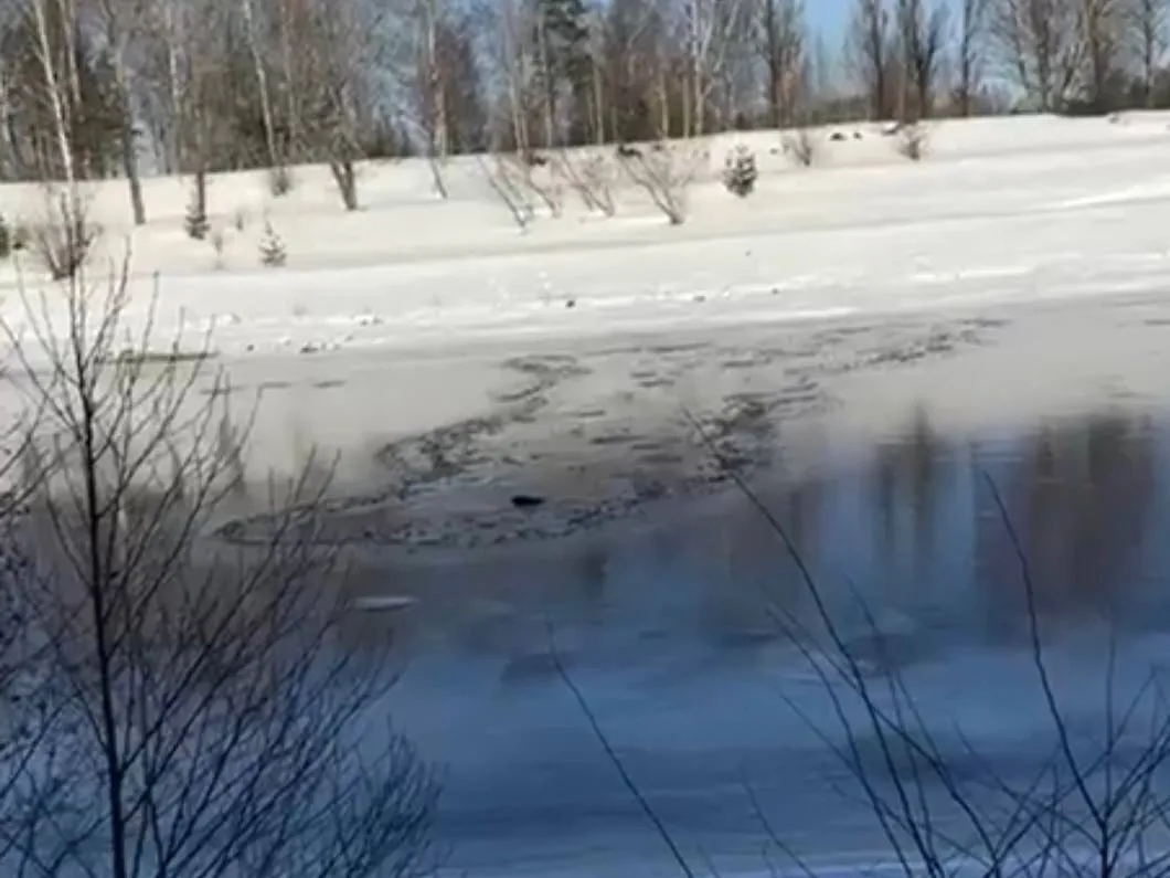 Фото: Это Дмитров, детка! (vk.com)