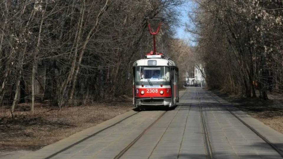 Фото: медиасток.рф