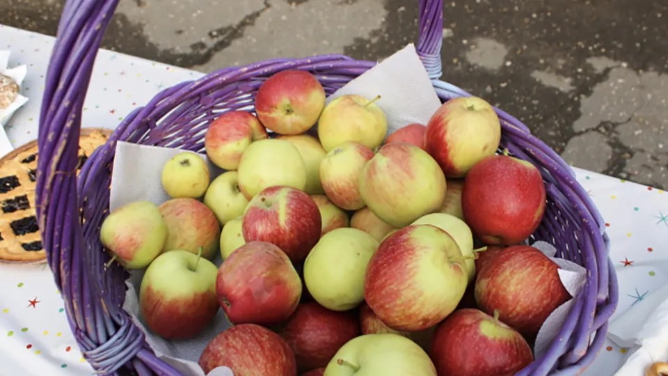 Фото: МедиаБанк Подмосковья/Екатерина Кирдина
