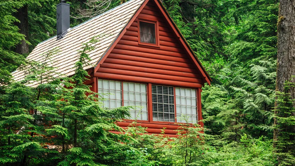 Фото: unsplash.com