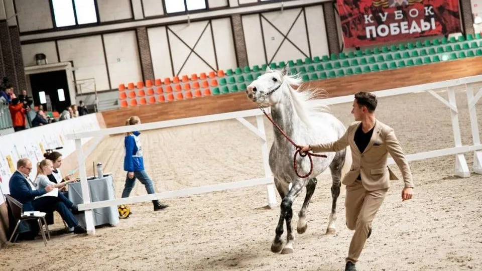 Фото: пресс-служба Администрации г.о. Дмитров