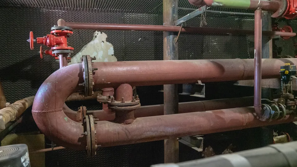 Фото: REGIONS/Наталия Надточая