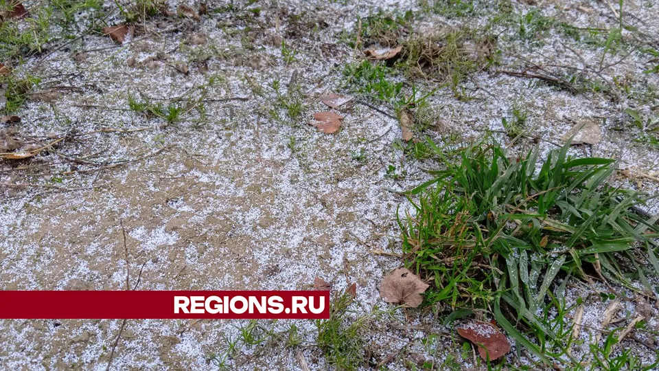 Фото: REGIONS/Василий Тремасов