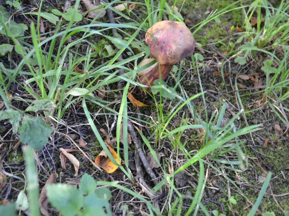 Фото: Олег Шилов