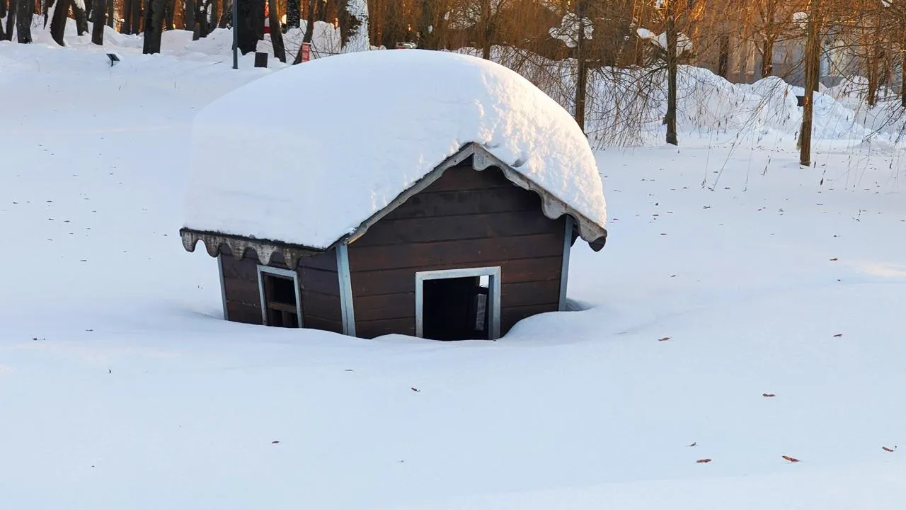 REGIONS/Алексей Селиверстов