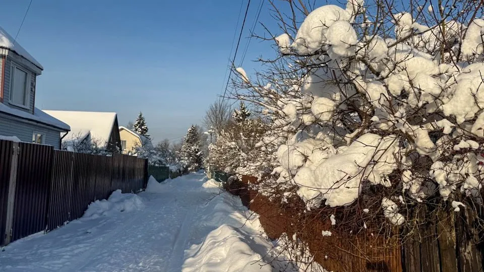 Фото: REGIONS/Анастасия Малышенко