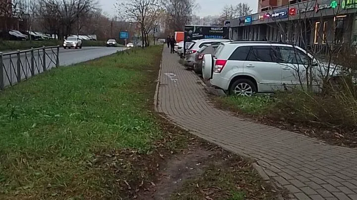 Фото: пресс-служба администрации г.о. Пушкинский