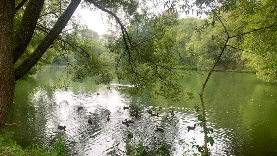 Фото: Анастасия Завертайло