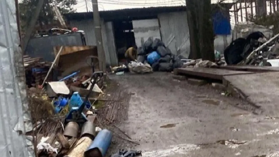 Фото: Министерство экологии и природопользования Подмосковья