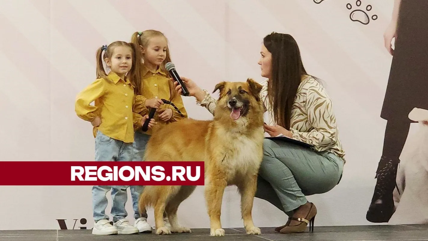 Фото: Нина Басистая