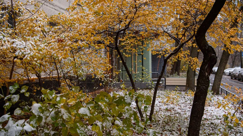 Фото: медиасток.рф