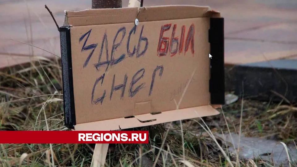 Фото: REGIONS/Василий Тремасов