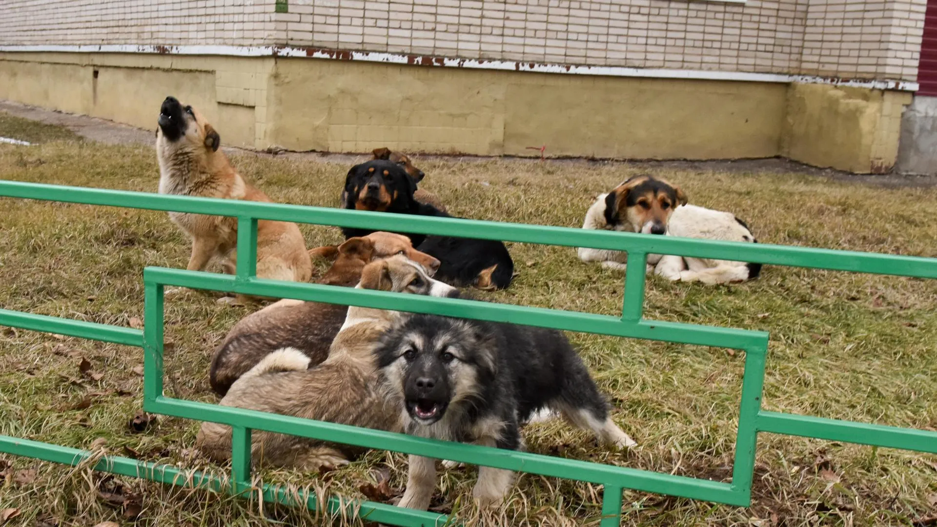 Фото: Денис Трудников